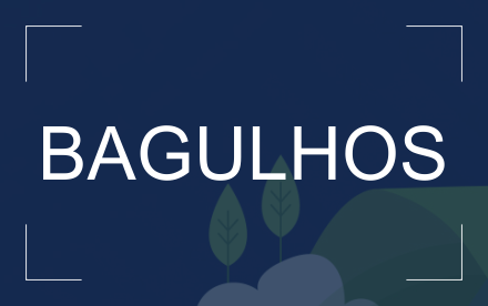 Bagulhos